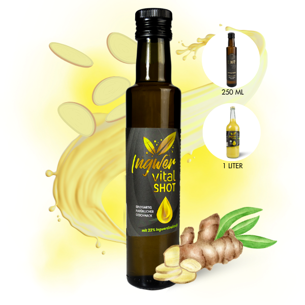 Ingwer Vitaldrink